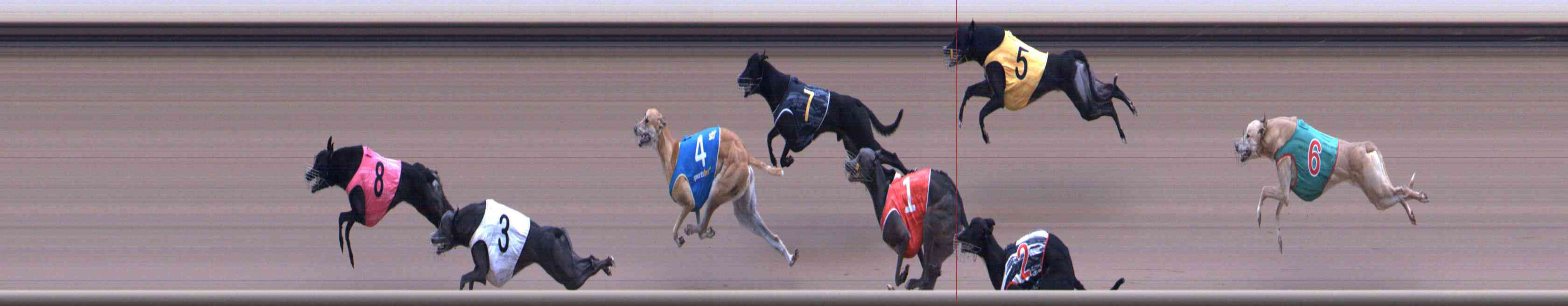 Race result finish photo